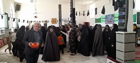 اهالی روستای چتز و عشرت آباد شهرستان ماهنشان ، میزبان پرچم متبرک حرم مطهر امام حسین(ع)